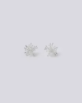 Explosion Silver Earrings